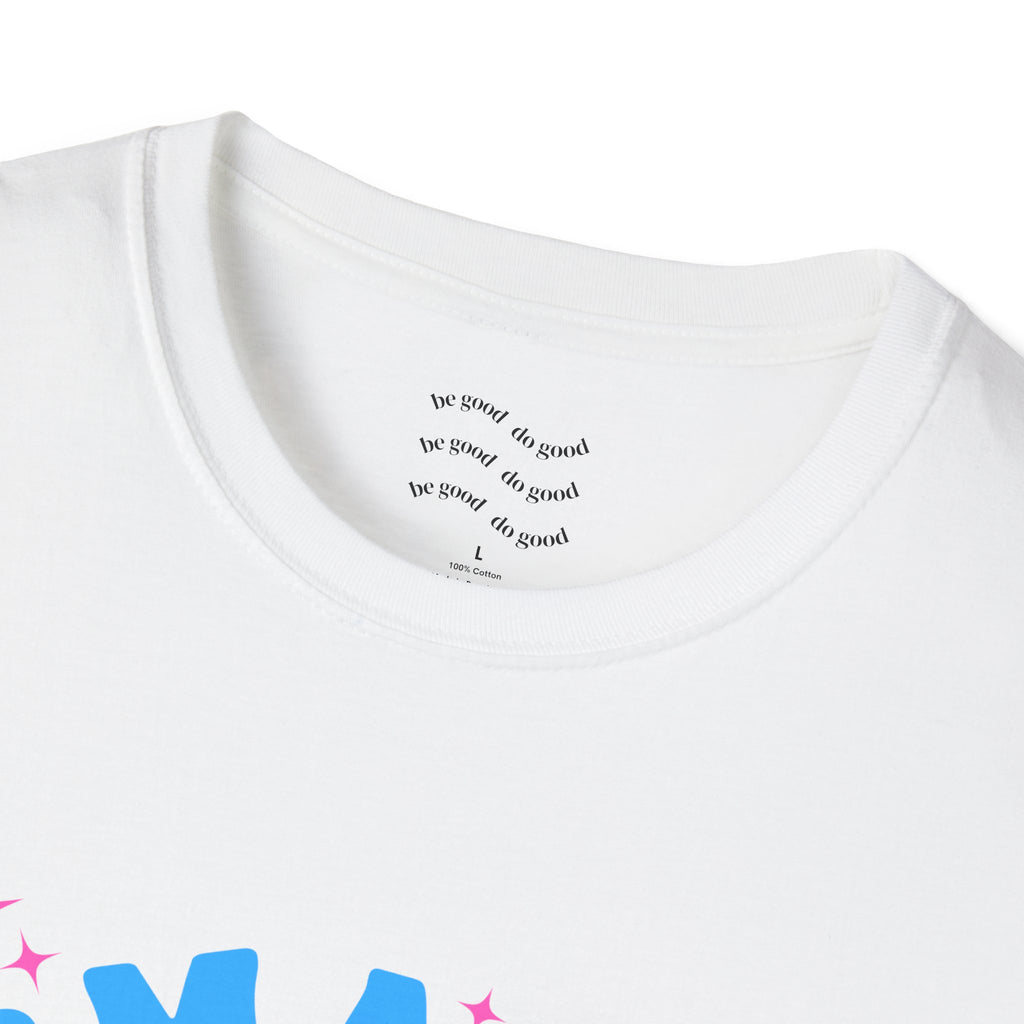 Smash the Cis-Tem T-Shirt — Trans Pride Graphic Tee