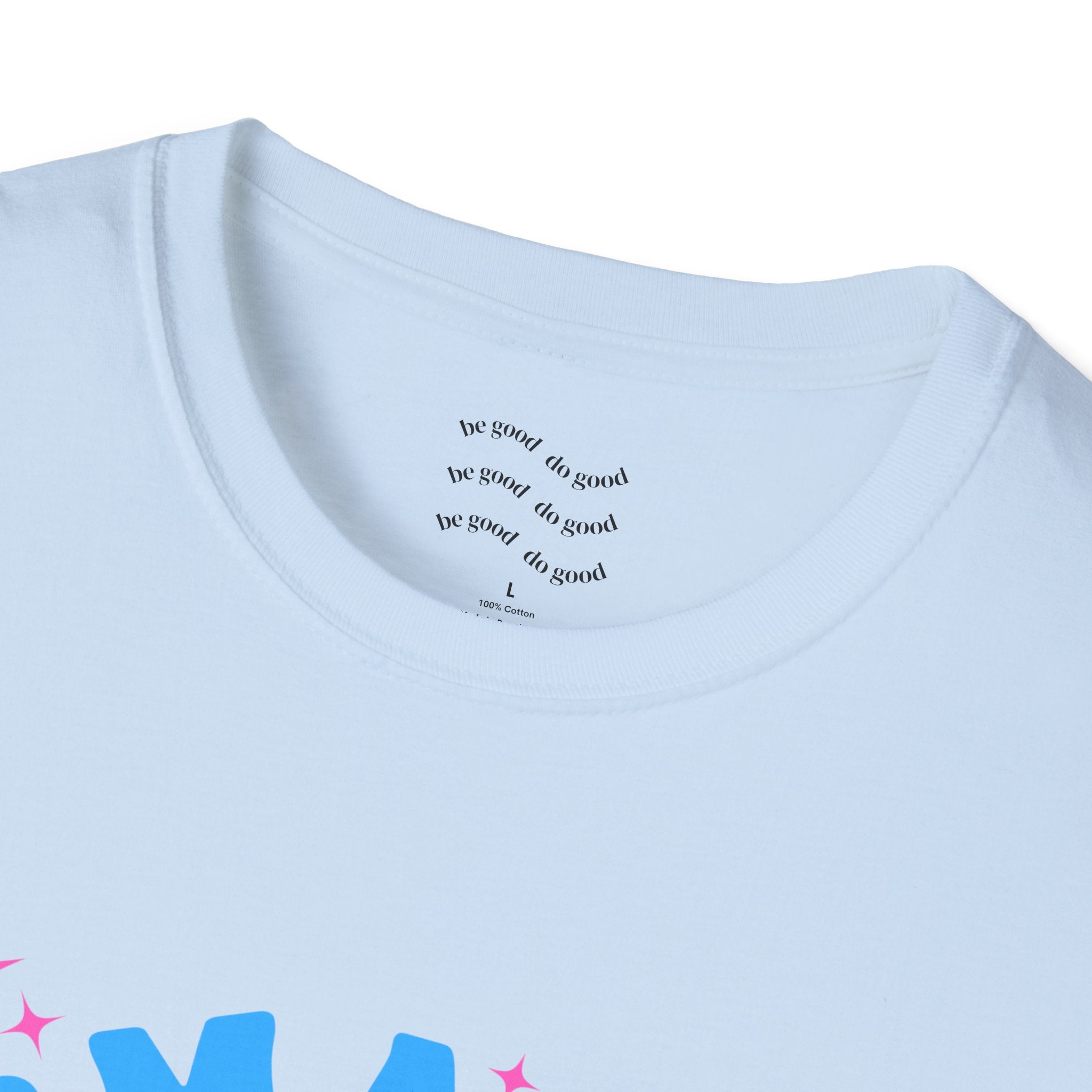 Smash the Cis-Tem T-Shirt — Trans Pride Graphic Tee