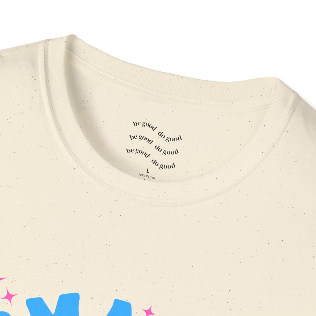 Smash the Cis-Tem T-Shirt — Trans Pride Graphic Tee